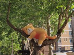 -西安电影制片厂