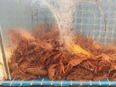 -港畔赶海蒸汽海鲜烧烤自助(仙螺岛店)
