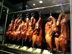 -高第街56号餐厅(宝龙店)