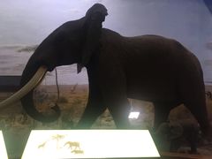 -自然博物馆(地铁站)
