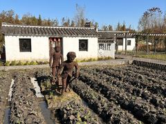 -溱湖国家湿地公园