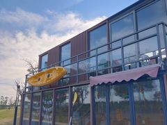 -春花秋色城市公园