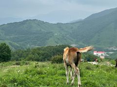 -灵山
