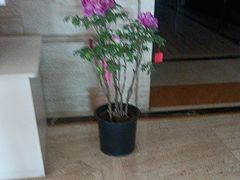 -洛阳宴·洛阳菜(南昌路店)