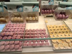 -好一朵茉莉花(老门东店)