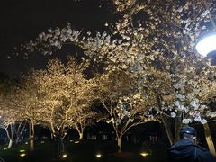 -堤角公园
