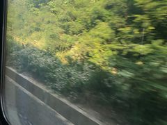 -黄记煌三汁焖锅(新世纪广场店)