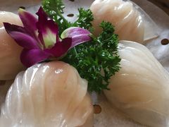 虾饺-四海轩(珠海海泉湾店)