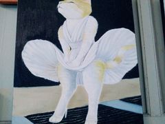 -猫咪博物馆(顶澳仔猫街店)