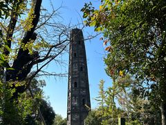 -上海佘山国家森林公园天马山园