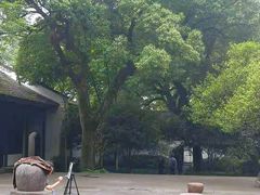 -北山街历史文化街区