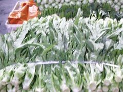 -三亚新鸿港水果一级批发市场