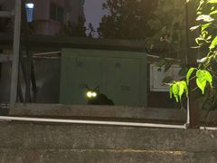 -一粥(华侨城创意文化园店)