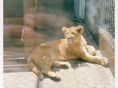 -西安秦岭野生动物园