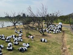 -上海海湾国家森林公园