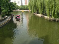 -团结湖公园