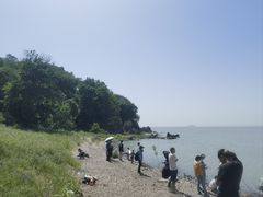 -巢湖姥山岛