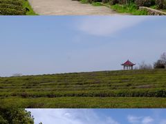 -凤凰沟景区