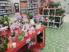 -大润发(明珠店)