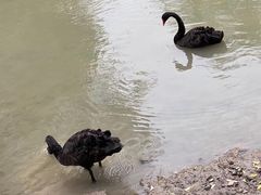 -金桥现代产业园区-停车场