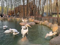 -北京野生动物园