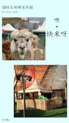 -萌宠亲子动物乐园(槐房万达店)