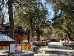 -大觉寺-停车场