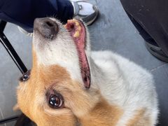 -香港深仔记茶餐厅(东门店)