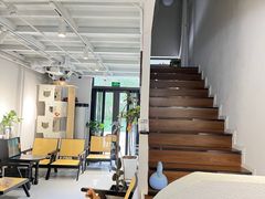 -琪喵猫屋·撸猫猫咖·猫舍
