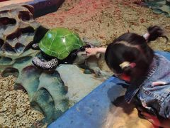 -青岛嘉年华主题乐园