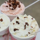 奶茶点单攻略｜连喝3天，上海终于有同款茶颜悦色了