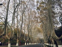 -钟山体育运动公园