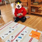 蒙氏园培养人类幼崽