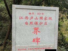-庐山碧龙潭风景区