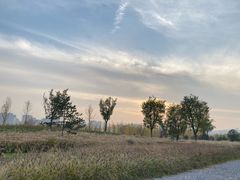 -汉长安城未央宫国家考古遗址公园