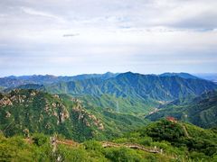 -大岭沟猕猴桃谷风景区