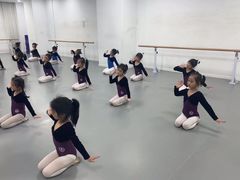 -西安小天鹅艺术团(金花路校区)