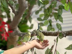 -太阳岛度假酒店