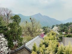 -潭柘寺景区