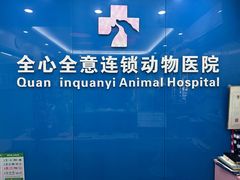-全心全意连锁动物医院·微创中心·内科急重症·心脏专科(丰管路店)