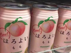 -国御温泉度假小镇