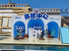 -秦皇岛乐岛海洋王国