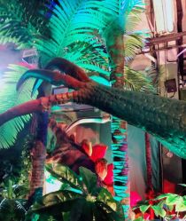 -恐龙探索乐园(磁器口店)