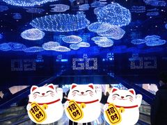 -盒马X会员店(上海森兰商都店)