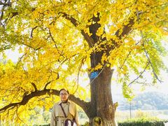 -千年银杏谷文化旅游区