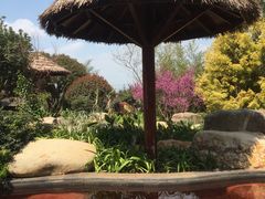 -七彩云南古滇温泉山庄