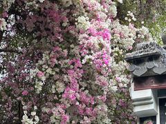 -深圳国际园林花卉博览园