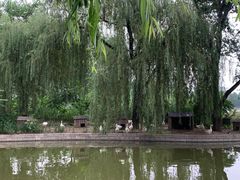 -莲花池公园