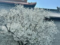 -雍和宫(地铁站)