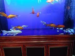 -知足堂养生会所(碑亭巷店)
